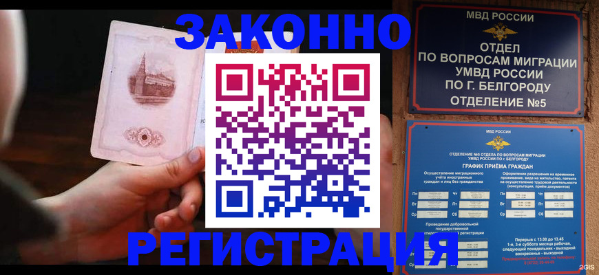 прописка 2025 в Видном